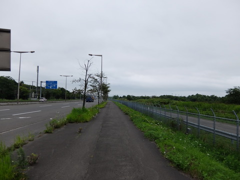 DSCF5156