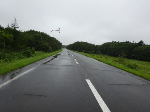 DSC00805