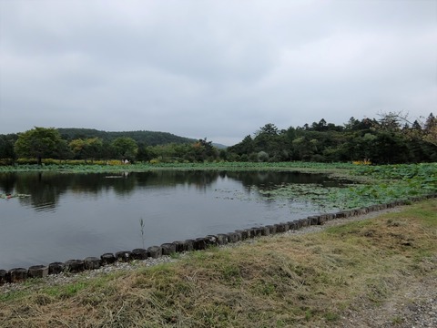 DSCF5117