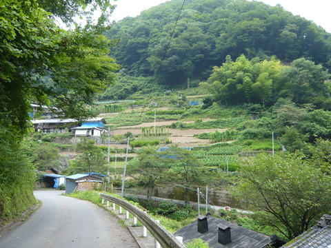 P1010752