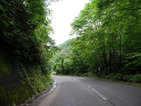 DSCF5009
