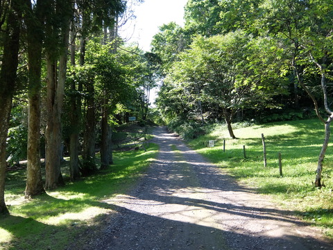 DSCF5075
