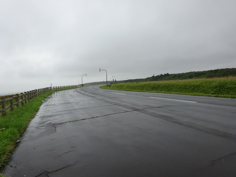 DSC00803