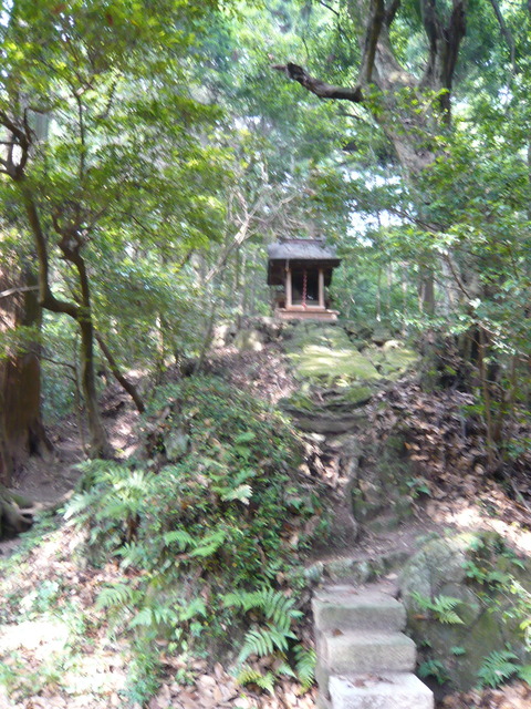 P1020107