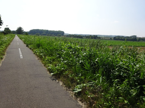 DSC00322