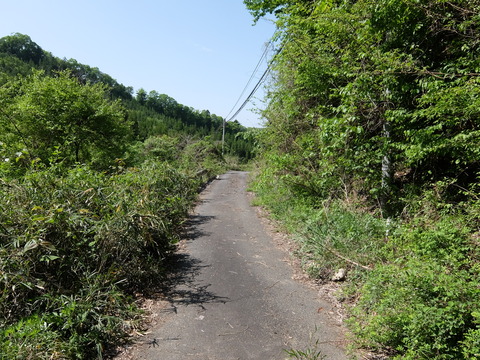 DSCF1769