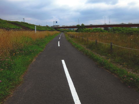 DSCF2517