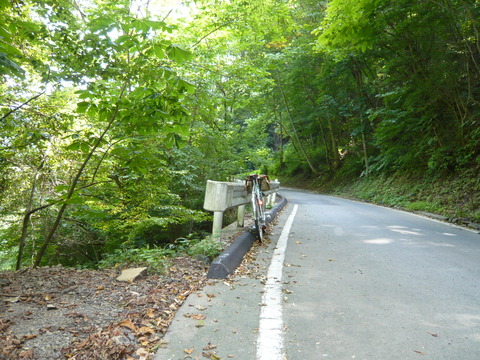 P1010877