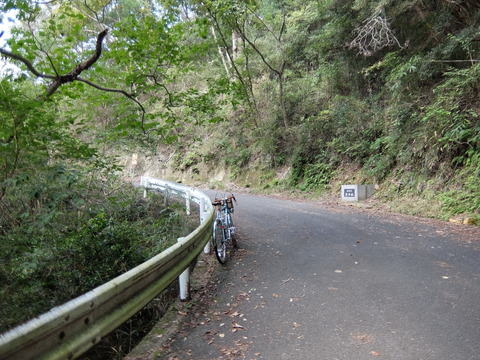 DSCF7747