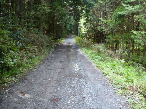 P1020057