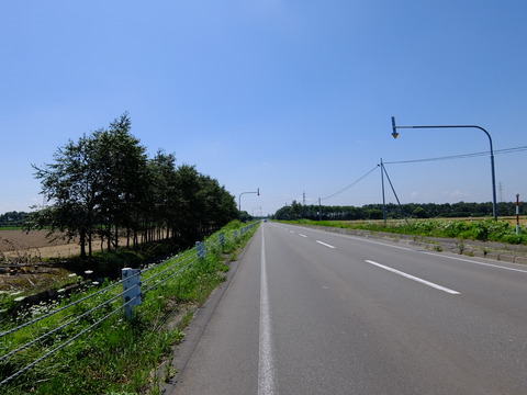 DSCF3447