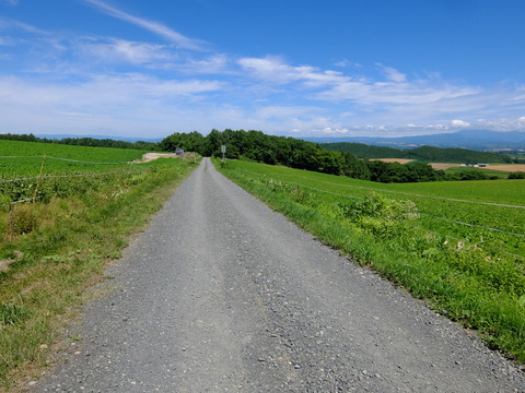 DSCF3185