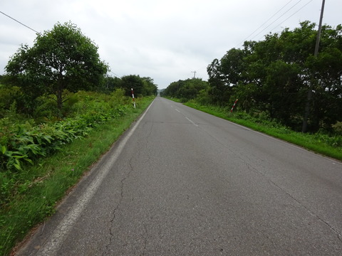 DSC00633