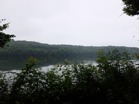 DSCF5086