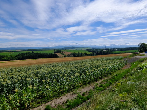 DSCF3126