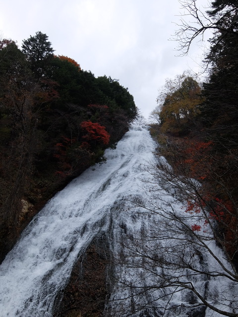 DSCF1977