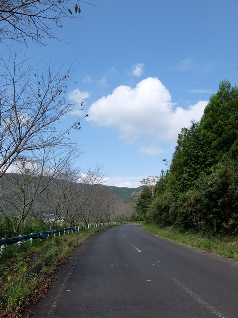 DSCF6216