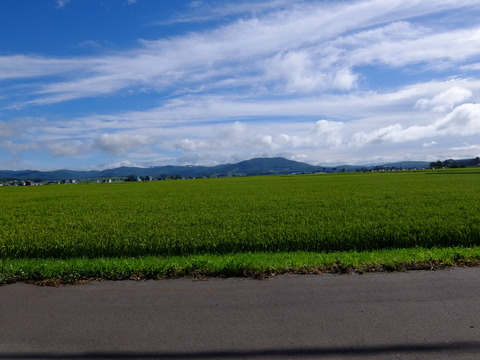 DSCF3101