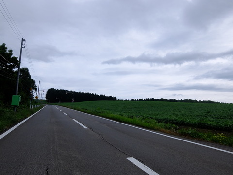 DSCF2956