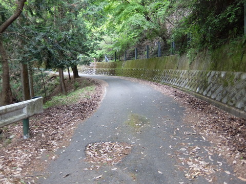 DSCF1705