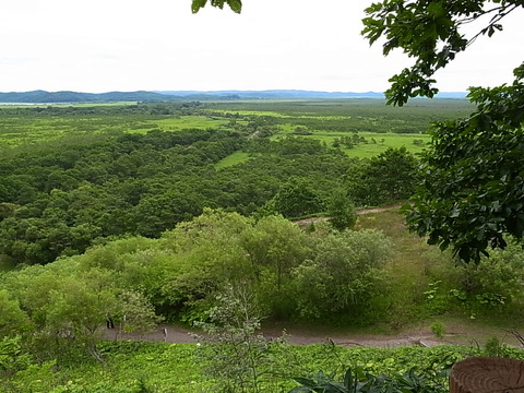 R0011489