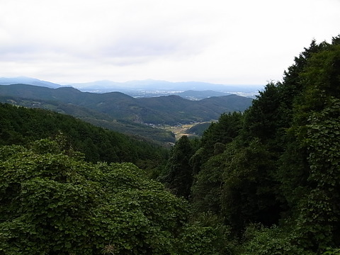R0011619