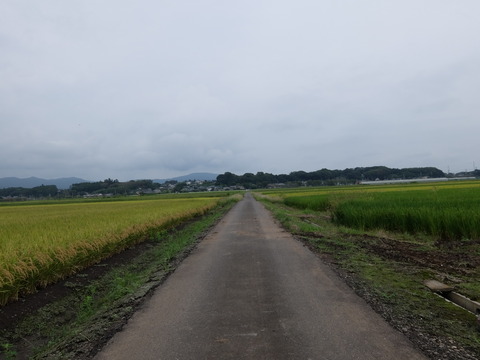 DSCF6395