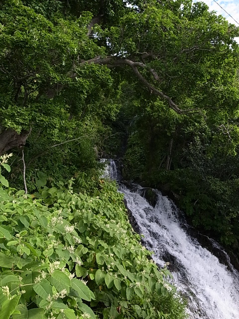 R0011417