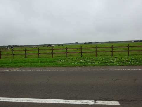 DSC00592