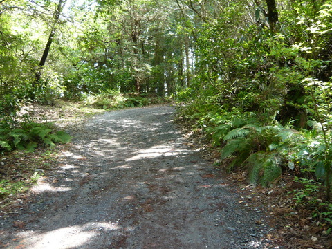 P1020058
