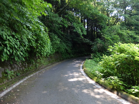 DSCF5660