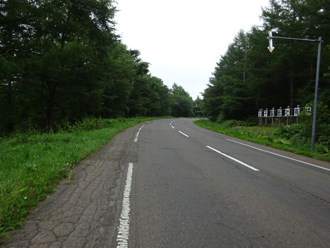 DSC00561