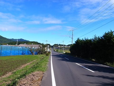 R0011568