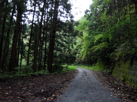 DSCF6422