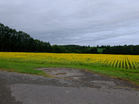 DSCF2960