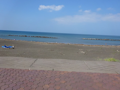 DSC00311