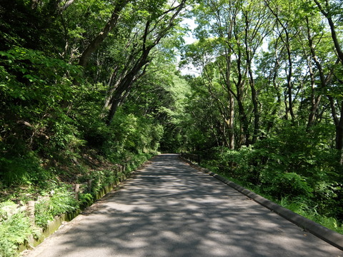 DSCF5663