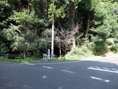 DSCF6219