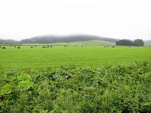 R0011909