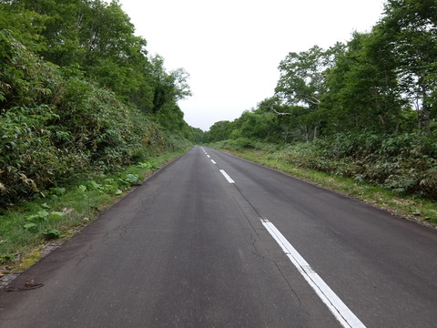 DSCF4984