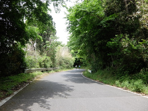 DSCF6175