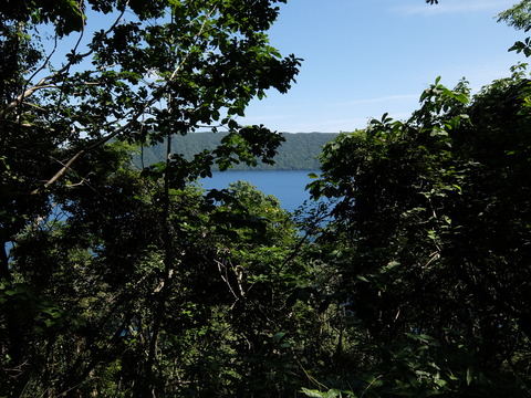 DSCF5041