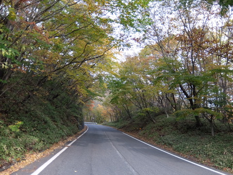 DSCF1920