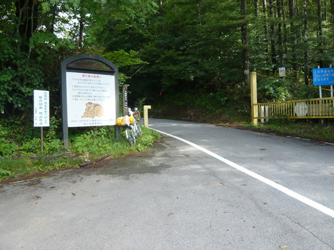 P1010667