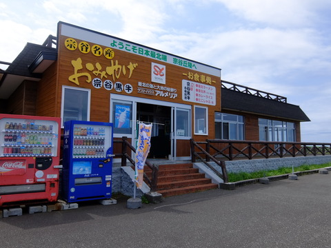 DSCF2784