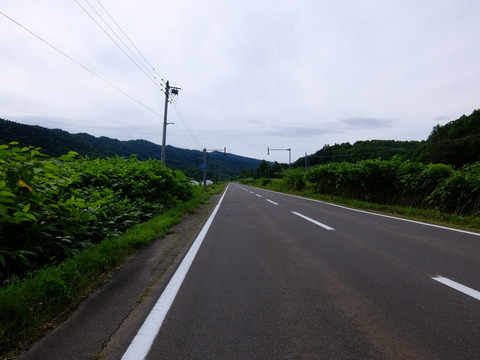 DSCF2968