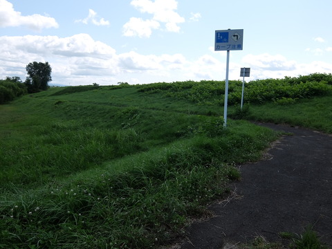 DSCF7537
