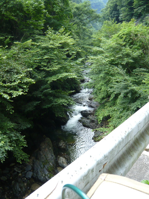 P1010641