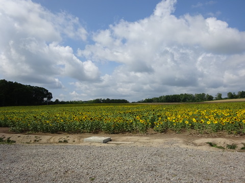 DSC00041