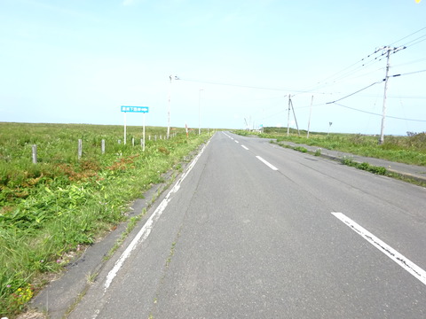 DSC00729